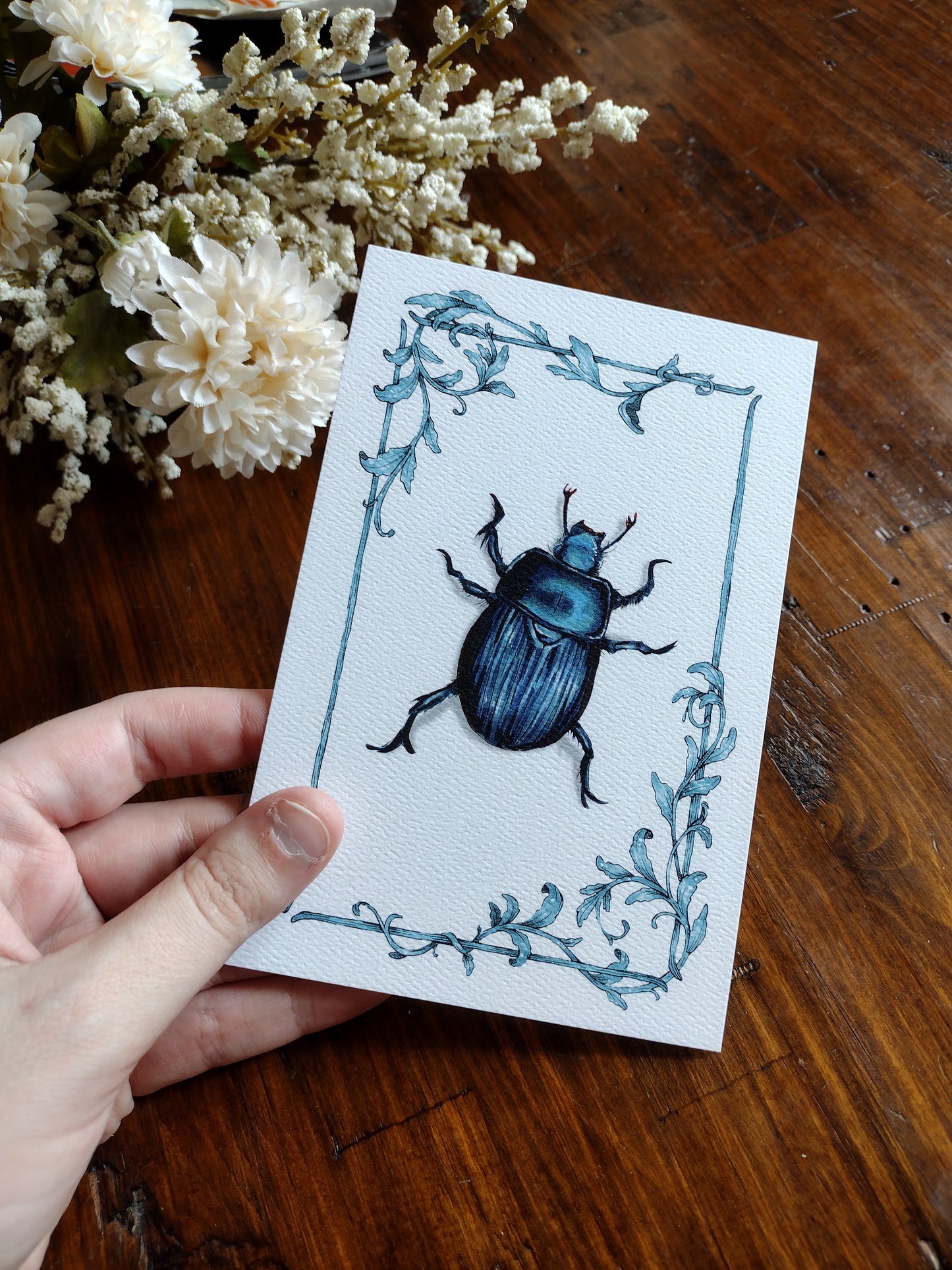 Bug postcard set