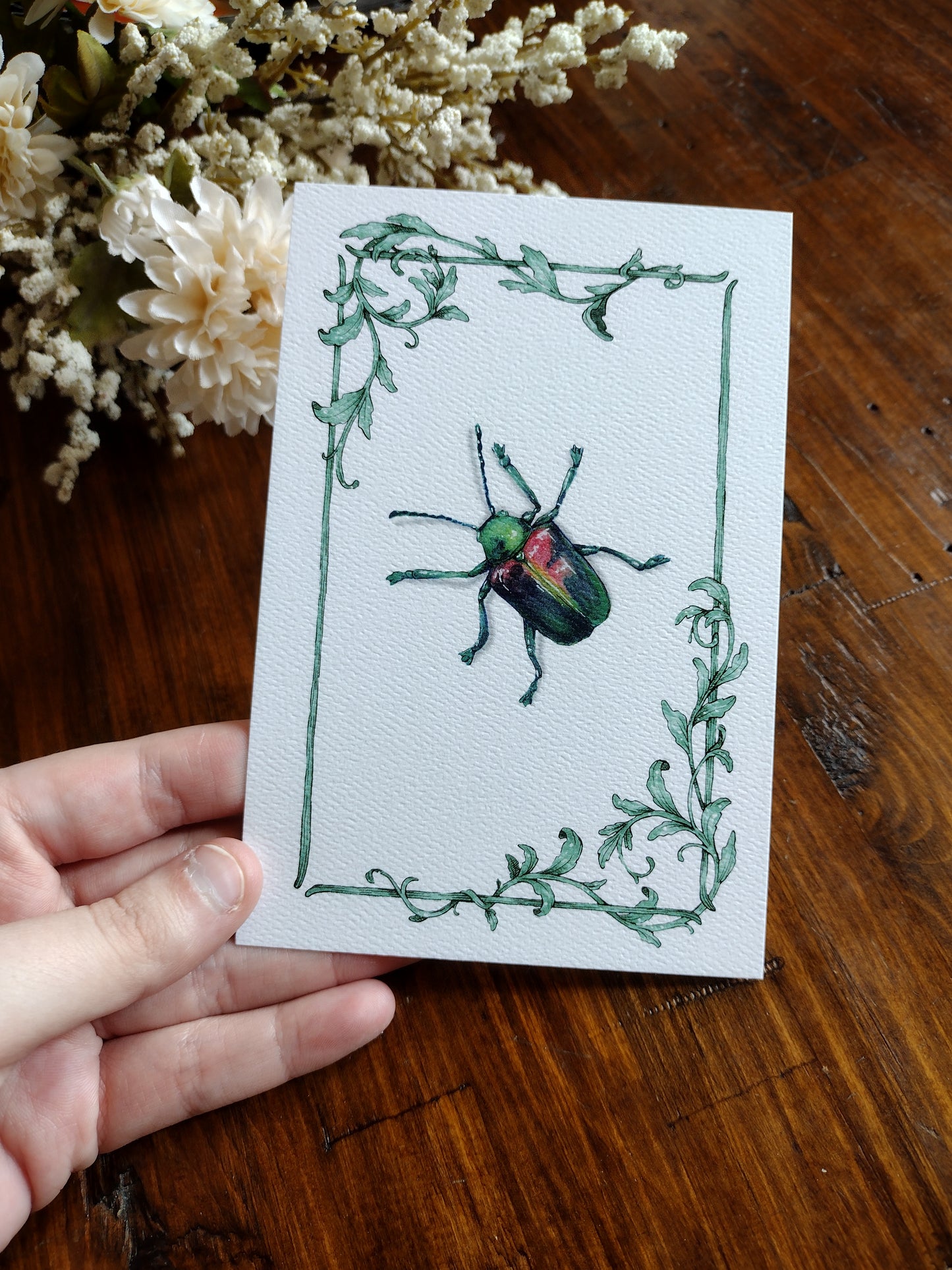 Bug postcard set