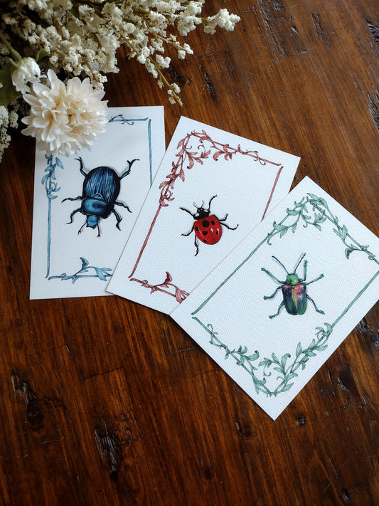 Bug postcard set